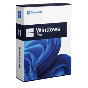 Windows 11 Pro